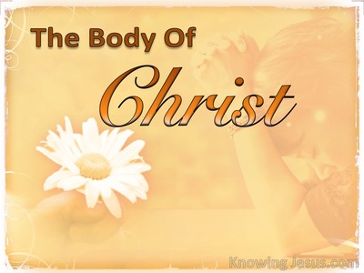 The Body of Christ - Once Upon Eternity (2)